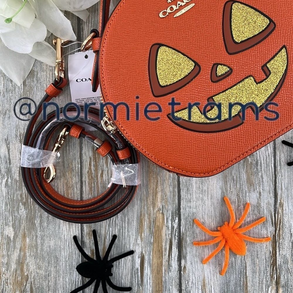 Canteen Crossbody Bag With Halloween Pumpkin Jack-o’-lantern Print Purse - Picture 7 of 8
